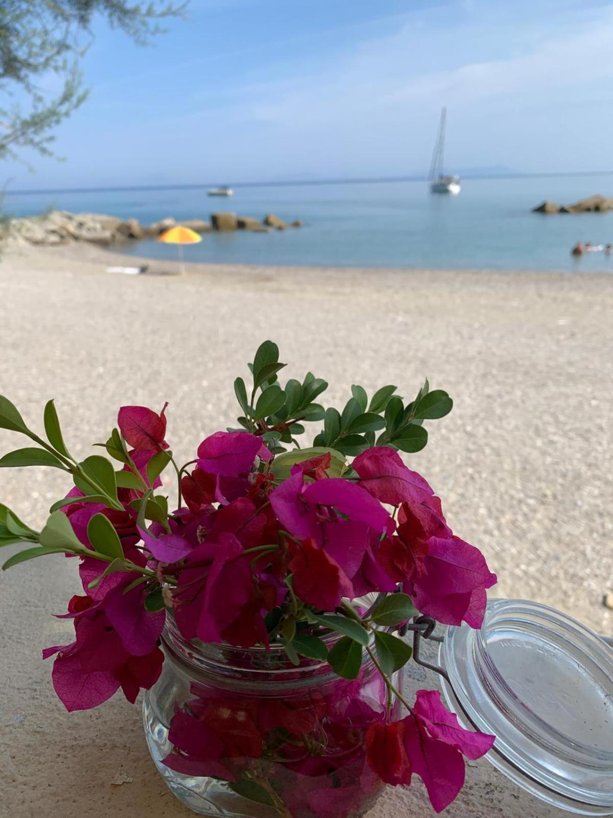 Testa Di Monaco Natural Beach กาโปดอร์ลันโด ภายนอก รูปภาพ
