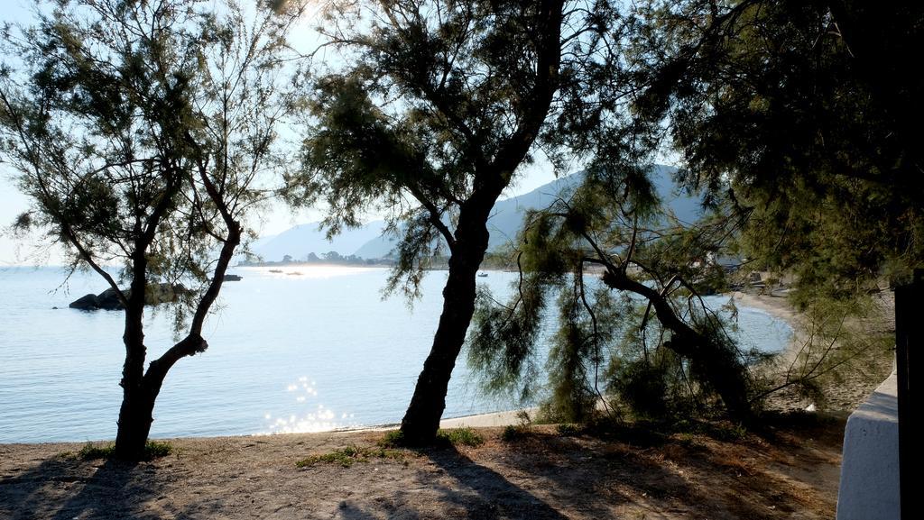 Testa Di Monaco Natural Beach กาโปดอร์ลันโด ภายนอก รูปภาพ